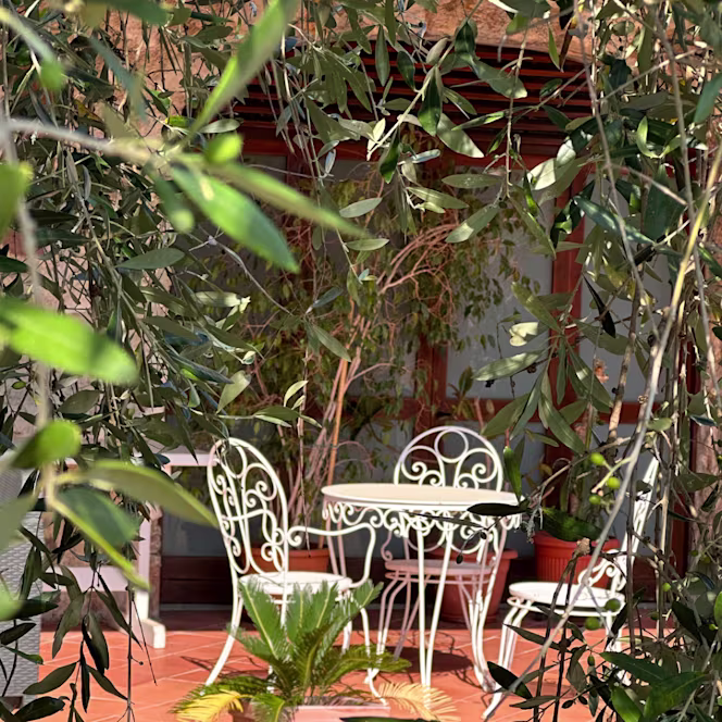 Lympha - San Rocco - 3