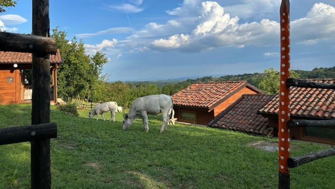 Casa Serra Bistrot - 5