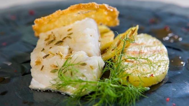 Donna Vittoria "Miralago" - 1