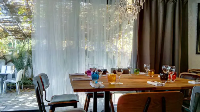 La Bella Donna Origine - 0