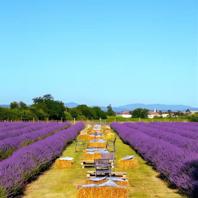 Il Molinello Ristorante - 2