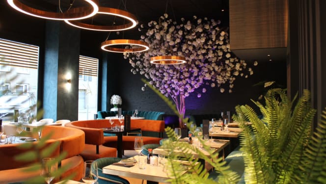 Restaurant Kaiseki - 5