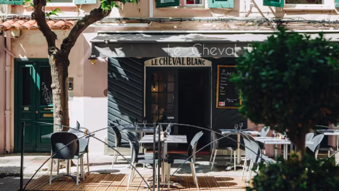 Le petit cheval blanc - 1