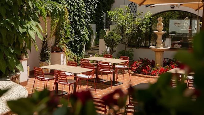 La Terraza del Diana - 7