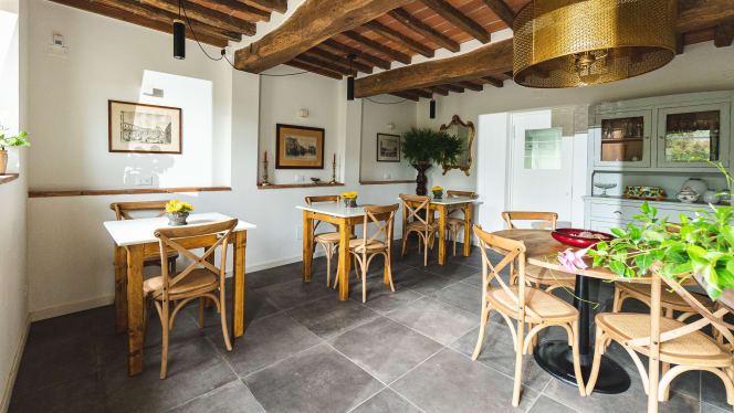 Agriturismo - Le Fonti - Pontassieve - 0