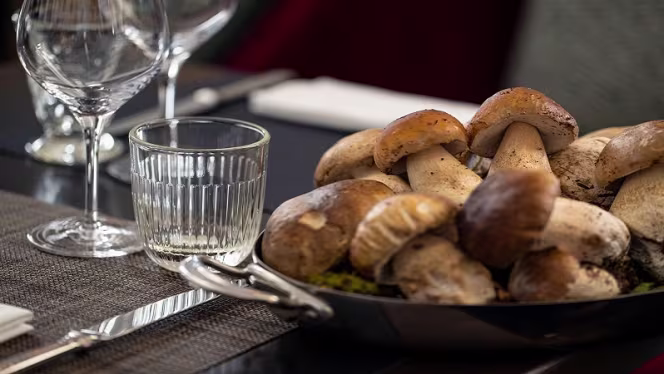 La Maison d'Estournel - 1