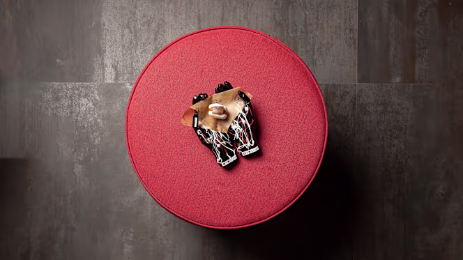 Dexcaro Experience - 2