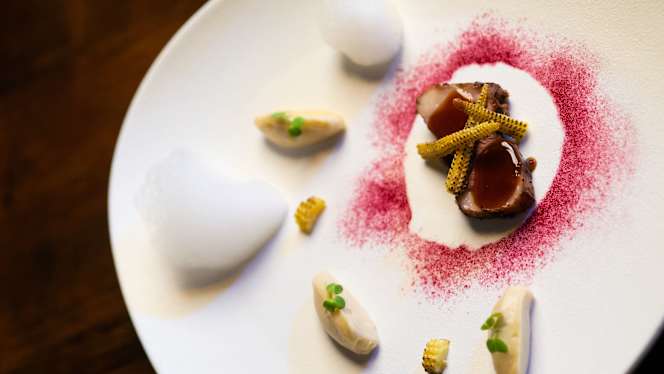 Dexcaro Experience - 4