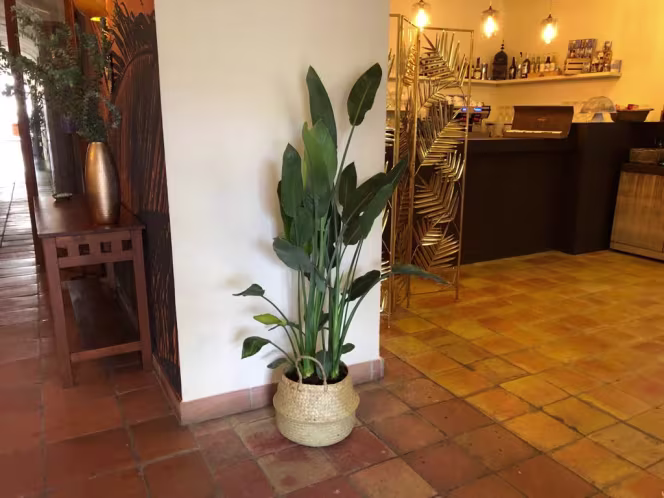 La Flama de Begur - 1