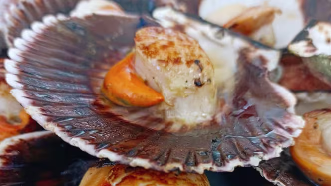 El Faro Restaurante Vila-Real - 0