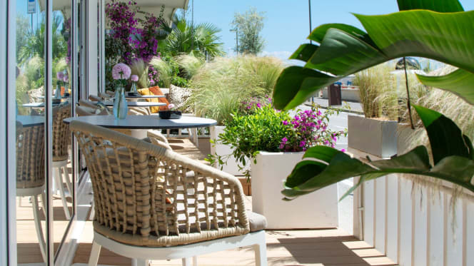 The SunDays Club - 7