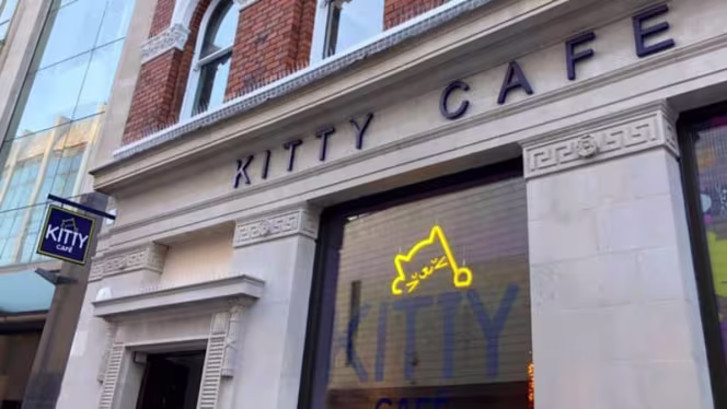 Kitty Café Leeds - 4
