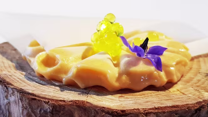 Món - Hotel Món Sant Benet - 2