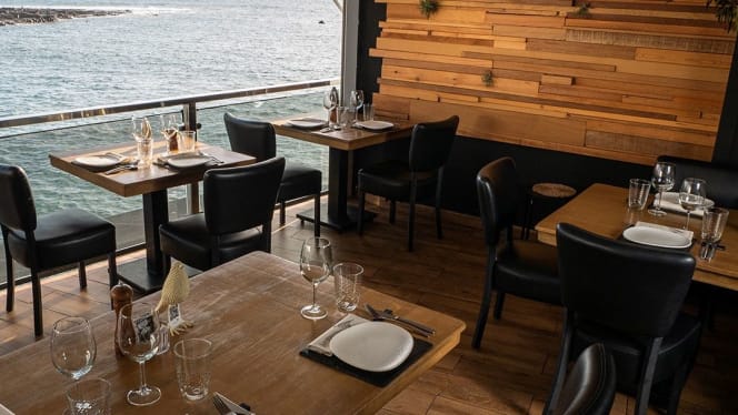 Mirlo La Caleta - La Caleta - 4