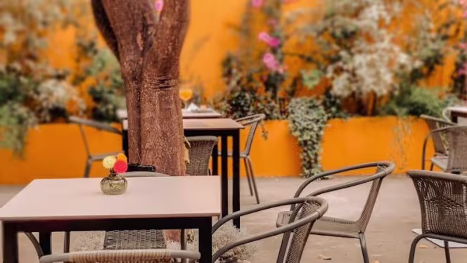 Tulipa Restaurante - 9