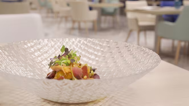 Trasluz - Meliá Alicante - 2