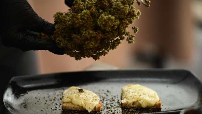 Villa Tredaniele - 2