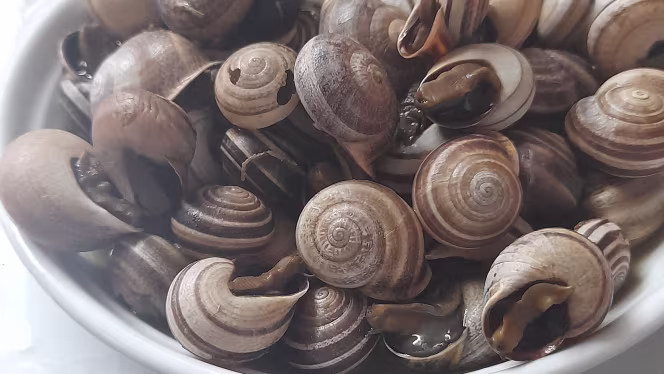 Tasquinha do Gavetas - 4