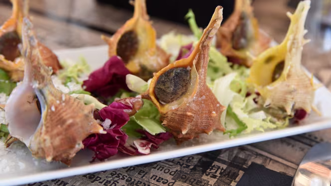 Bar Restaurante Regina - 8