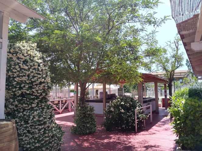 Magic country Stamagic - 5