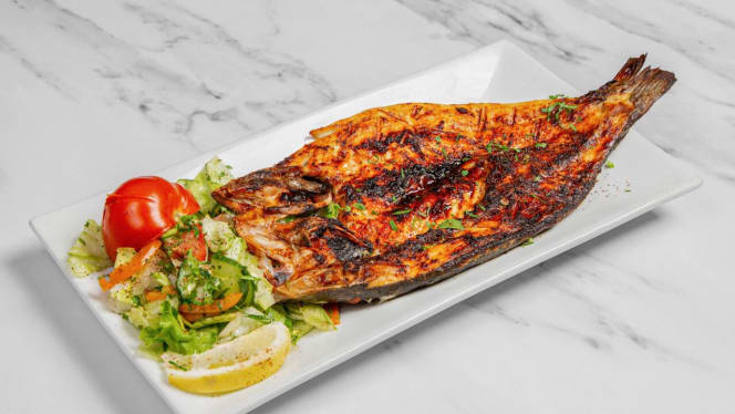 Lebanese Gardens Lounge - 2