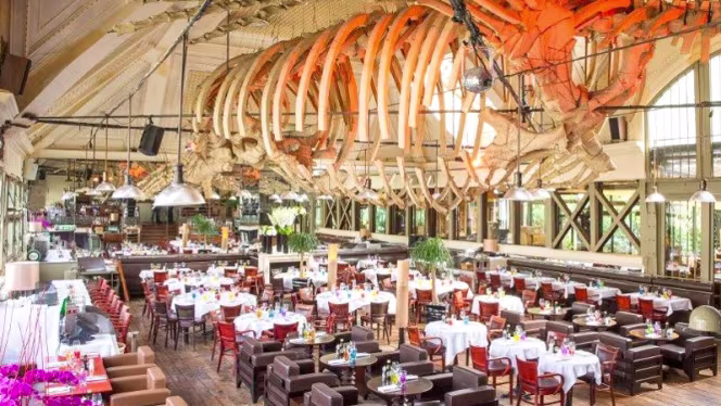 Café la Jatte - Le Restaurant - 3