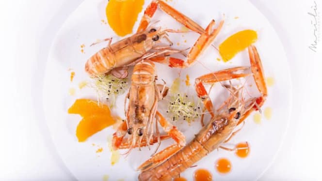 Operà Art Restaurant - Prato - 0