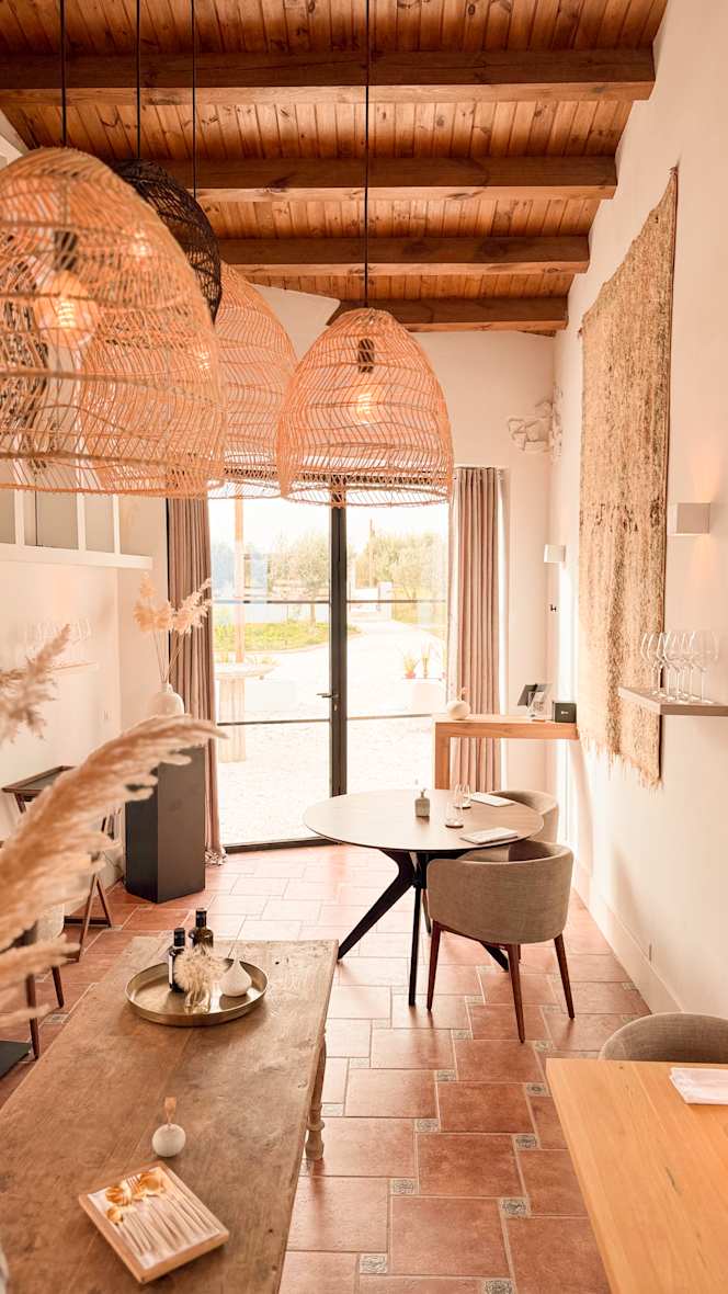 Solenne - Finca Las Calmas - 8