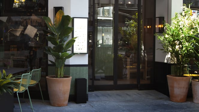 Tapa Tapa Santa María Micaela - 5