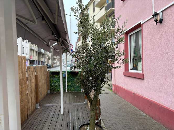 Saveurs du Liban - 5