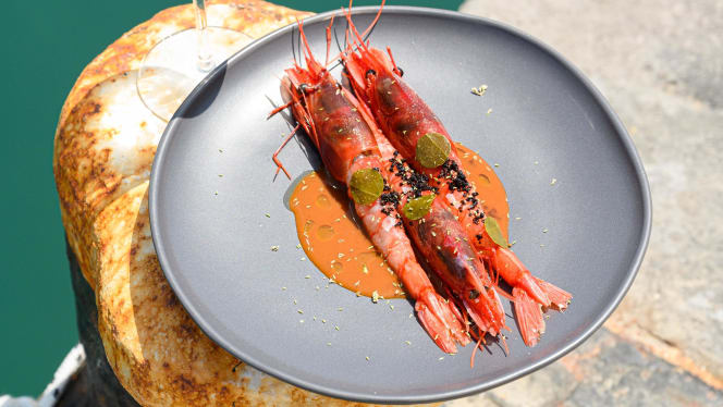 Suscettibile Acciaroli - 0