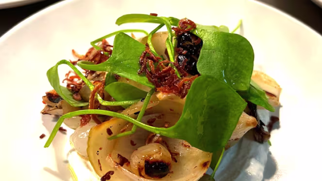 Provável - Porto - 5