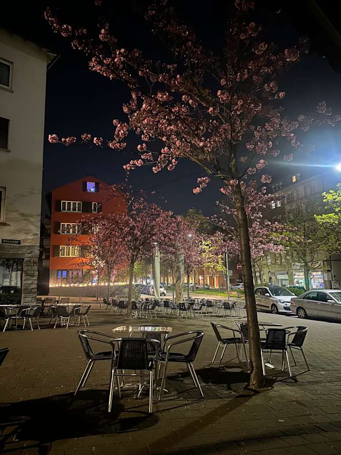 Ciao Claus Café & Bar - 1