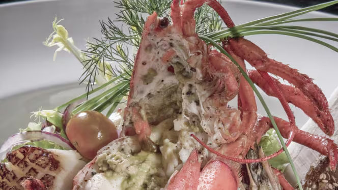 De Peerdestal - Antwerpen - 8