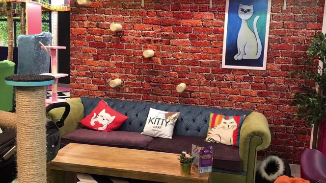 Kitty Café - Birmingham - 5