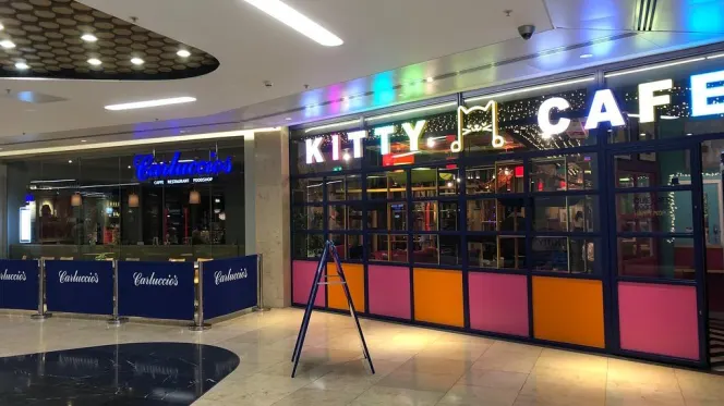 Kitty Café - Birmingham - 0