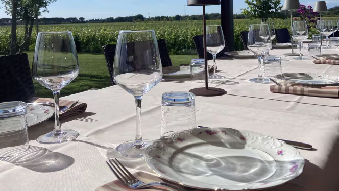 Ristoenoteca Imperiale Bolgheri - 4