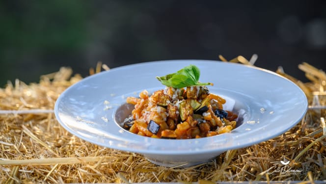 Agriturismo Colle Salomonio - 4