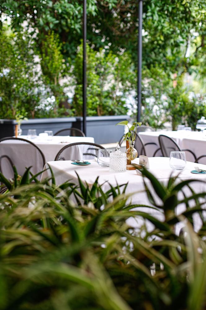 Green Wave - Sorrento - 7