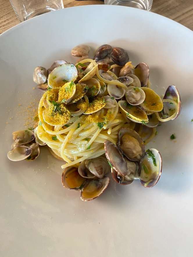 Cavallino Bianco - 0