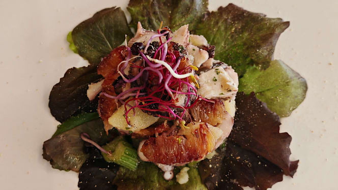 Why&Not | Hostaria Venezia - 7