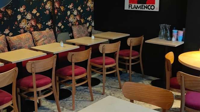 Paloma - 5