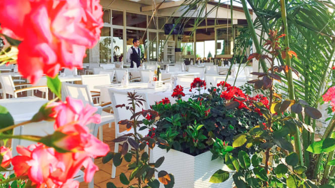 Live Fusion Restaurant - 0