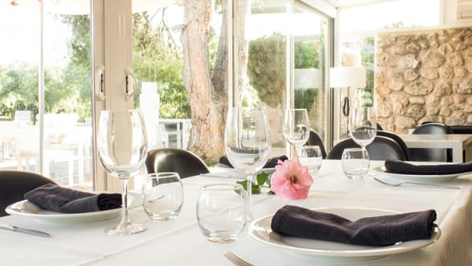 JC Ferrero Equelite Sports Academy - 1