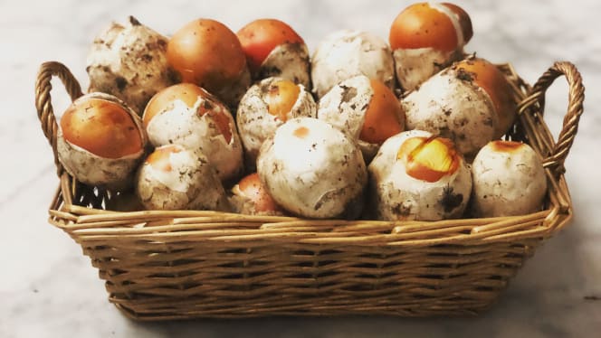 Al Fungo Velenoso - 5