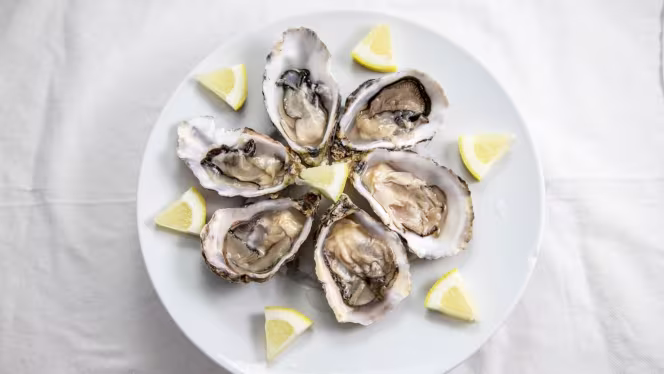 Bodega Barahona - Casa Manolo - 5