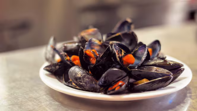 Bodega Barahona - Casa Manolo - 0