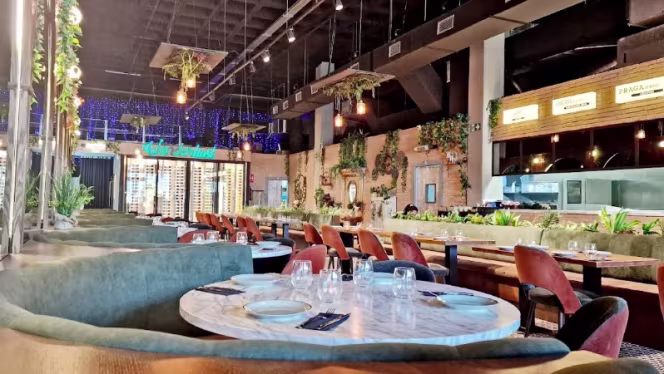 Indomable C.C. Oasiz - 0