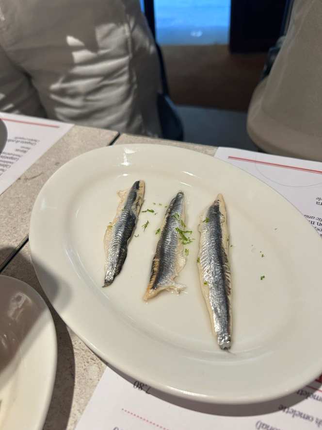 Tapa Fina - 4