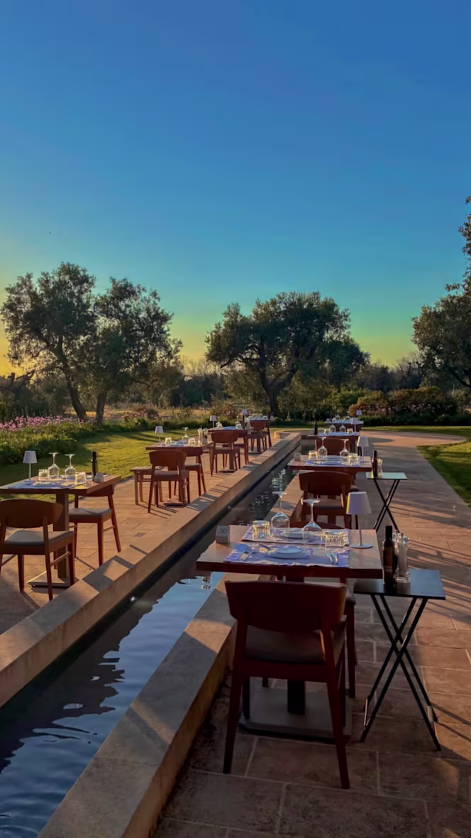 Volivo Restaurant By Secolario - 0